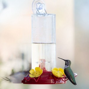 perky-pet-hummingbird-feeder-window