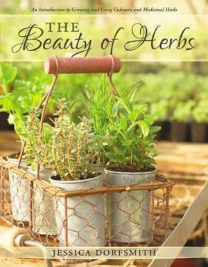 yoders-store-the-beauty-of-herbs