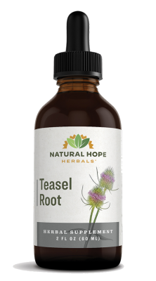 teasel_root_natural_hope_herbals-2oz