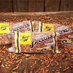  xl-pieces-mascot-pecans-109